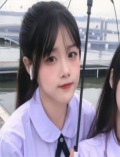 神机妙算刘伯温2006评价对比：专业影评与观众口碑差异